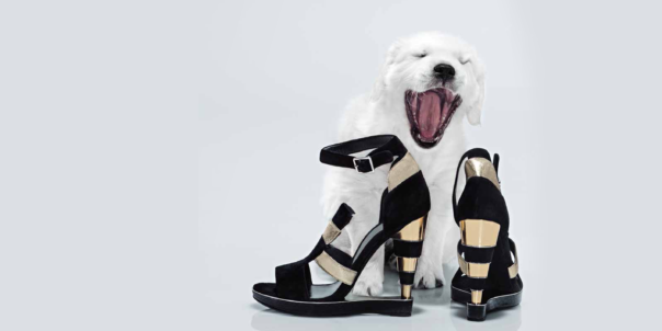 180109_ekf_web_titelbilder_Harper_Bazaar