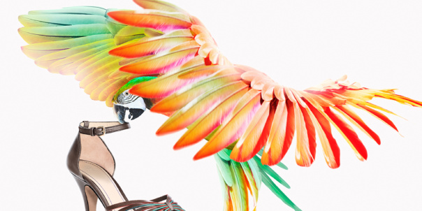 180109_ekf_web_titelbilder_navyboot