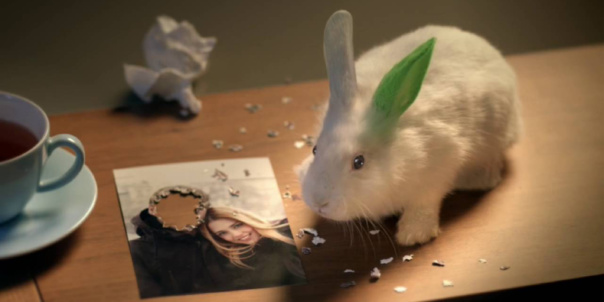 180109_ekf_web_titelbilder_Zwergkaninchen_Winni_Haribo