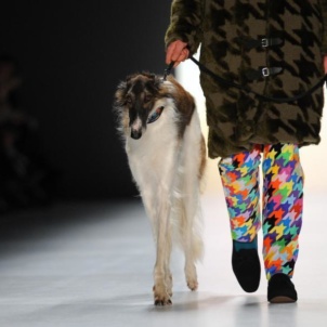 Borzoi Cita for Fashion Week 2015