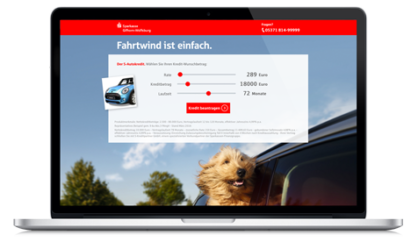 Briard-Lucy-Sparkasse-demo-landingpage