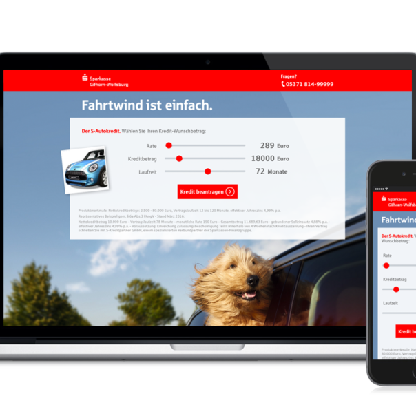 Briard-Lucy-Sparkasse-kampagne-autokredit-header