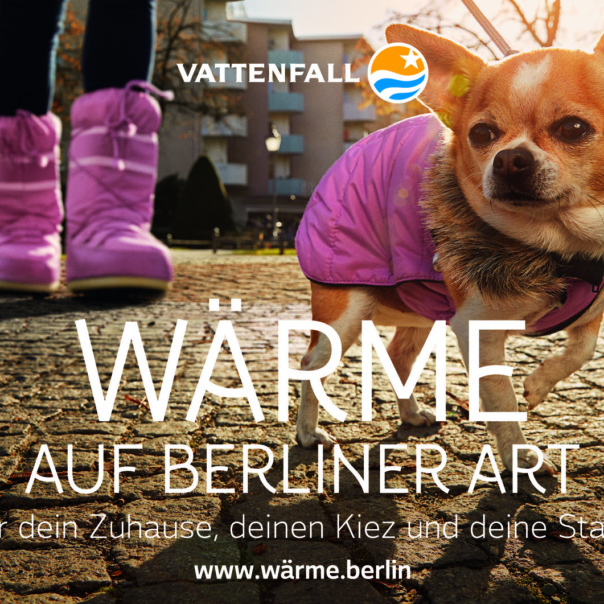 Chihuaua-Cuccio-vattenfall