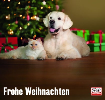 Golden-Retriever-Finley-und-Ragdoll-Mio-Fressnapf_02