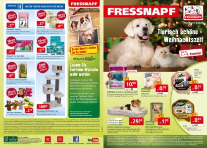 Golden-Retriever-Finley-und-Ragdoll-Mio-Fressnapf_03