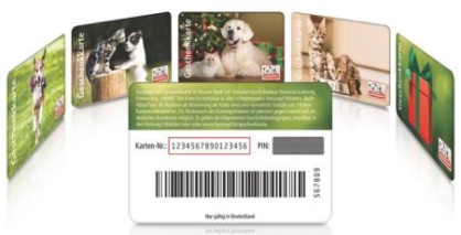 Golden-Retriever-Finley-und-Ragdoll-Mio-Fressnapf_04