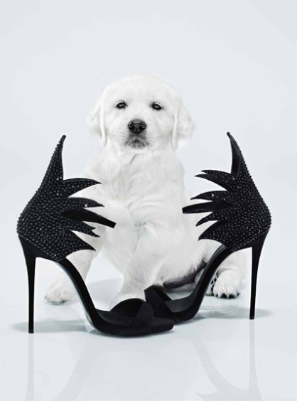 GR-Welpe01Bru-HapersBazaar