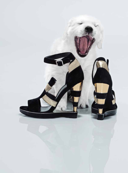 GR-Welpe03Bru-HapersBazaar