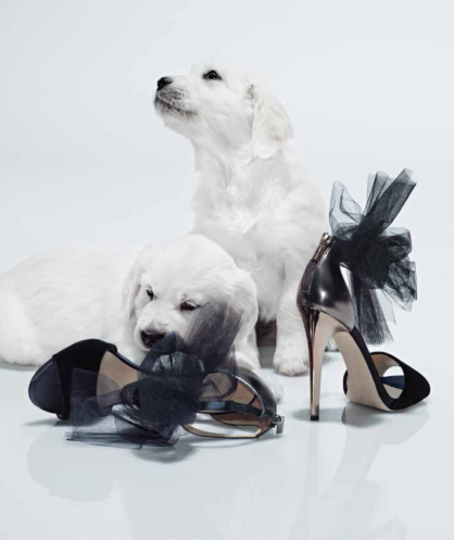 GR-Welpe05Bru-HapersBazaar