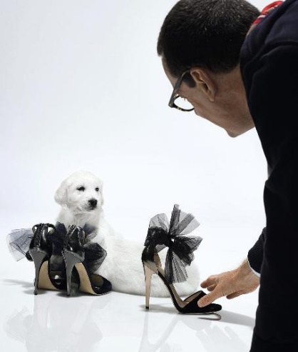 GR-Welpe06Bru-HapersBazaar