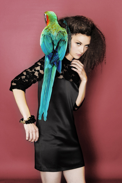 HybridAra-Rammstein-Bem