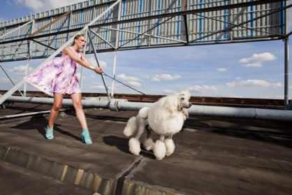 KöPudel-Bello07Zit62cm