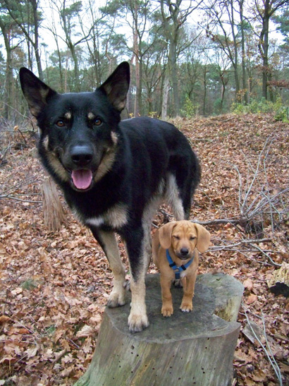 Mix Heinrich und August