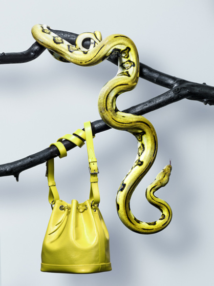 Netzpython-Supertiger02Haf