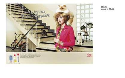 PerserKatze-Bella-Wella_01