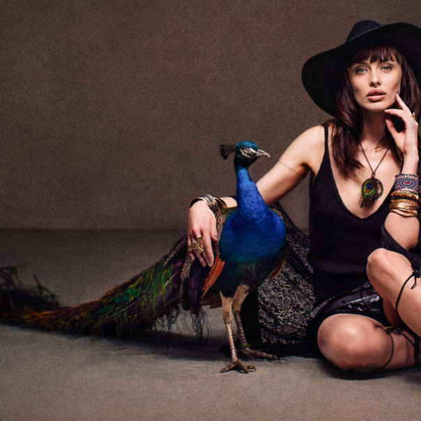 Pfau Kuk