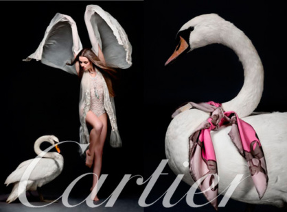 SchwanShooting-Cartier