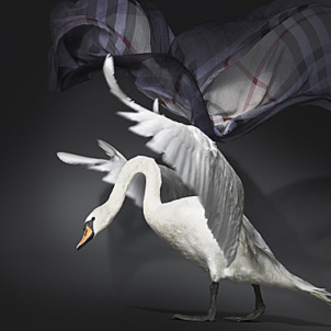 Schwanenhaft elegant