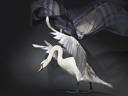 Aufmacher_Hintergrund