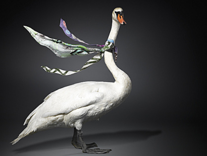 Aufmacher_Hintergrund