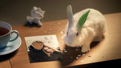 Zwergkaninchen-Winni-Haribo