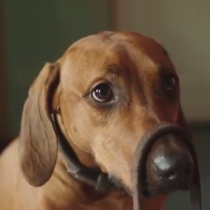 Mali is thinking about the future