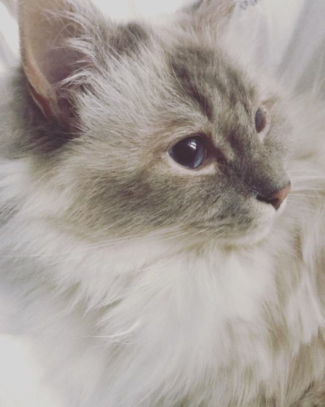 139HlgBirma-Ludwig04BRE