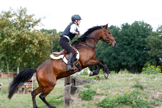 148Mustang-SugarMan01Kim1,58m