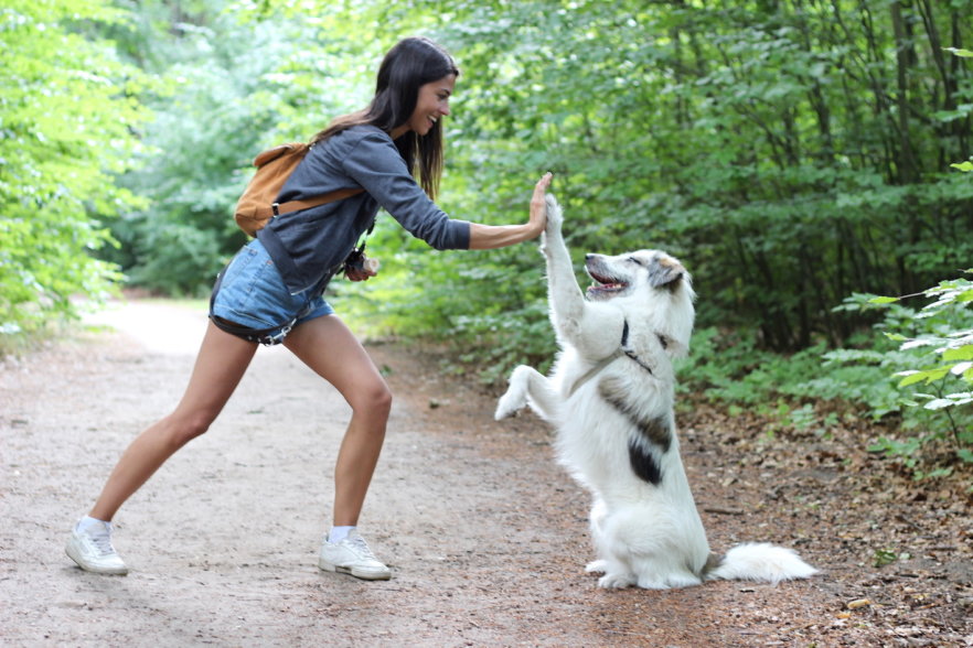 089Mix-Barney01Schu50cm_n