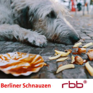Berliner Schnauen_ekkifant_Irischer Wolfshund
