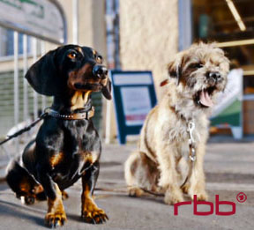 Role reversal - Tiny & Smarty in dialogue with the capital